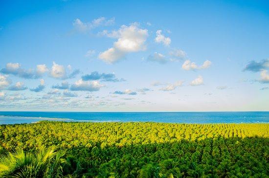 Praia do Gunga